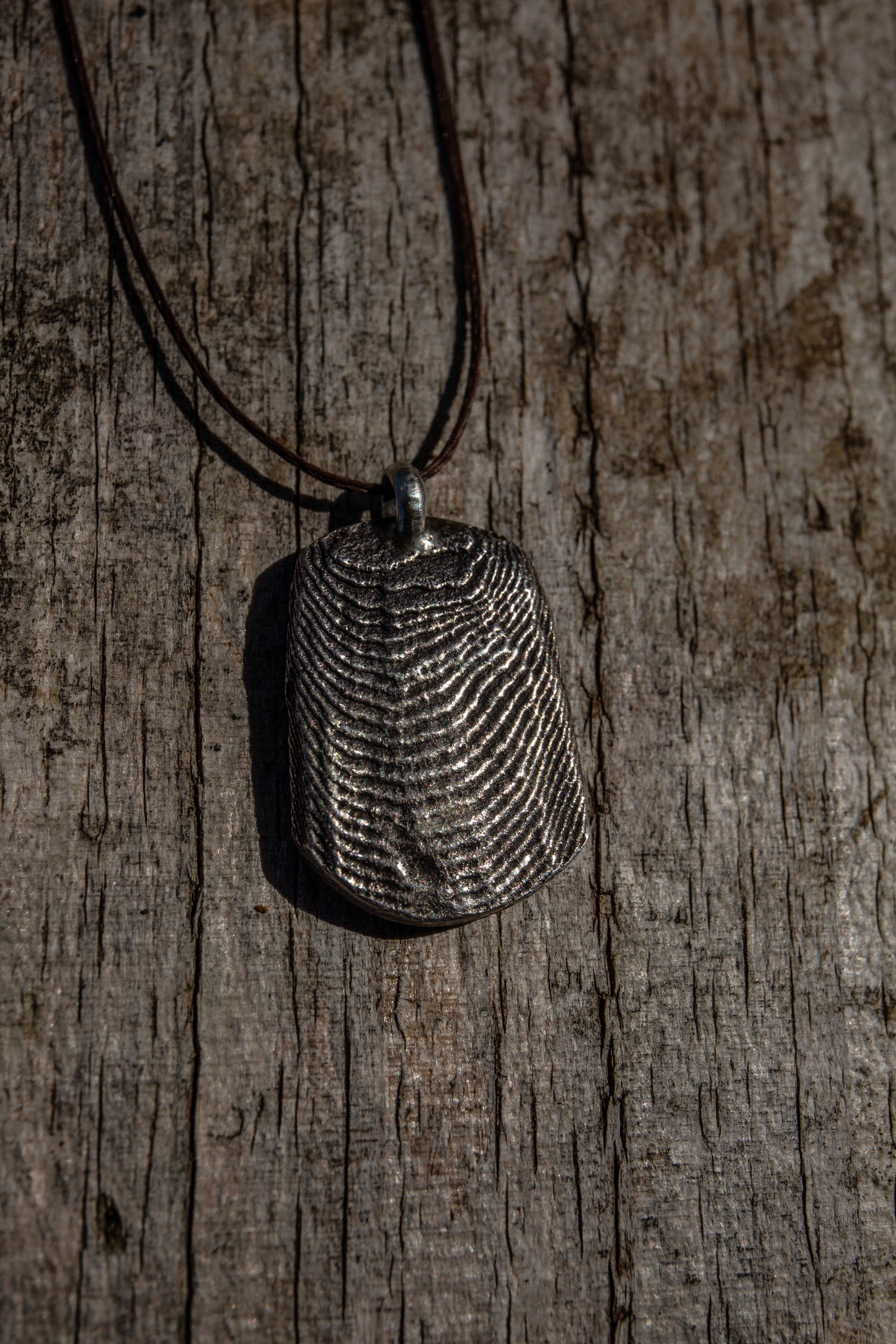 Cuttlefish pendant silver