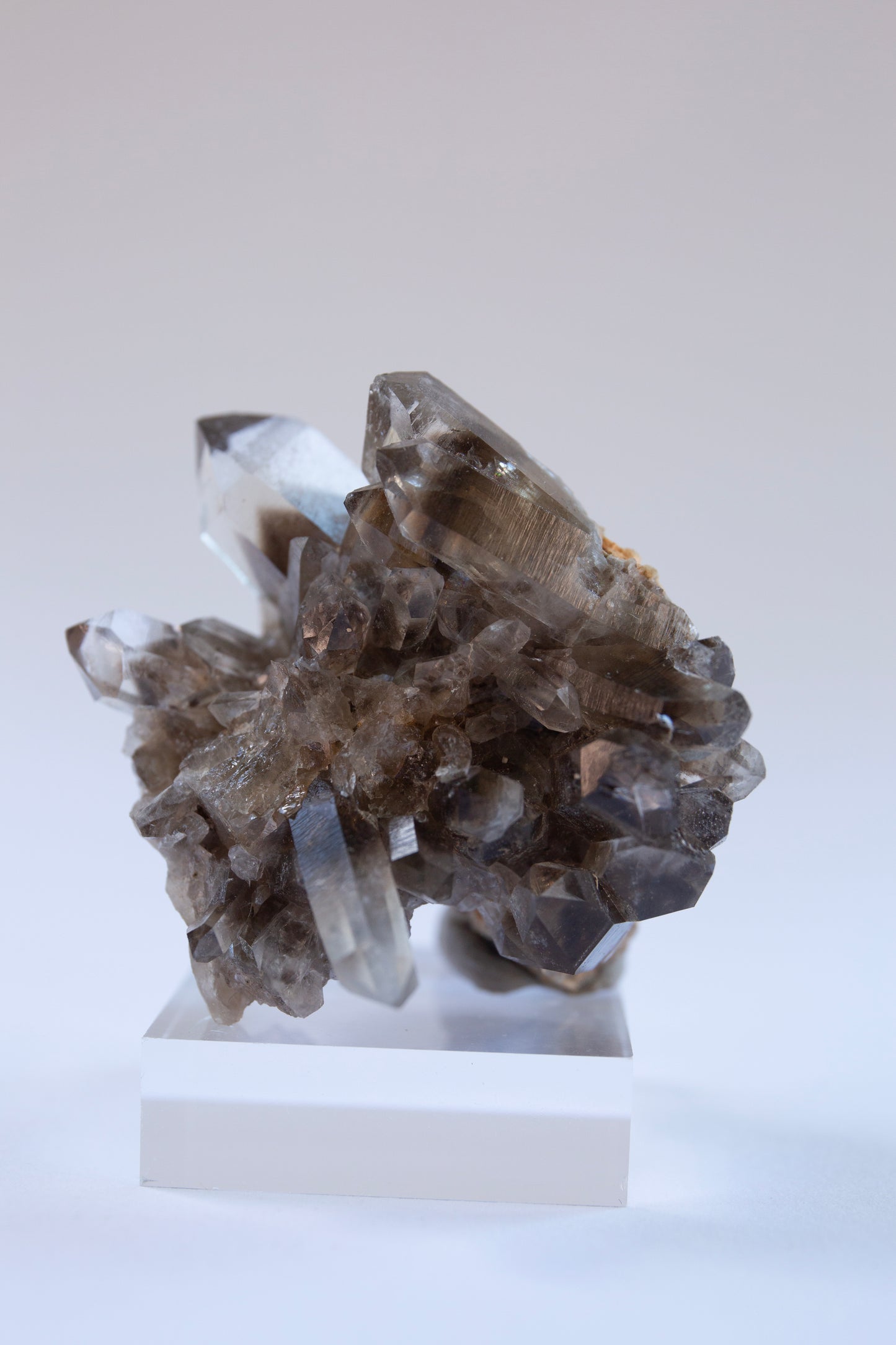 Australian phantom crystal cluster