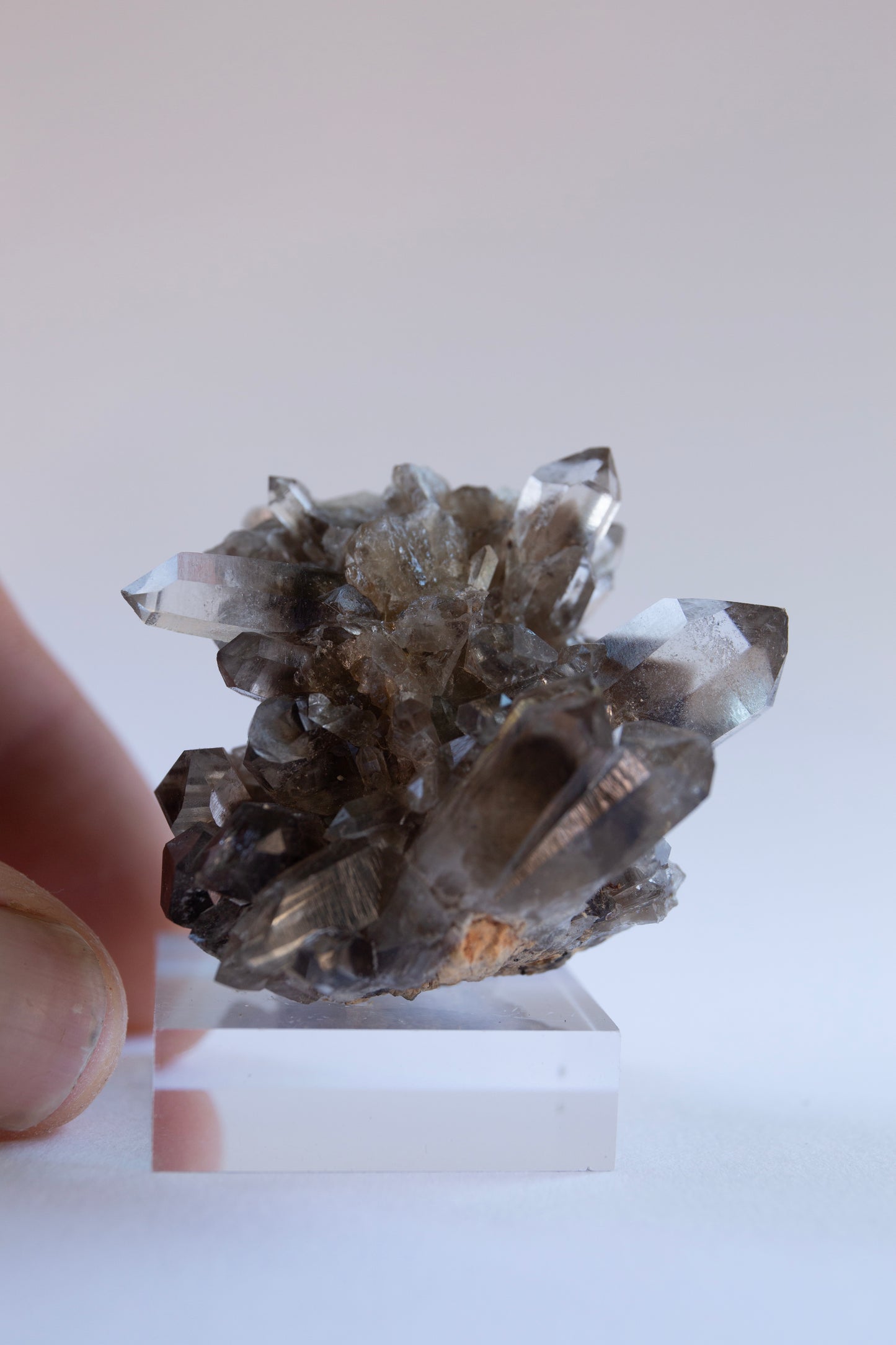 Australian phantom crystal cluster