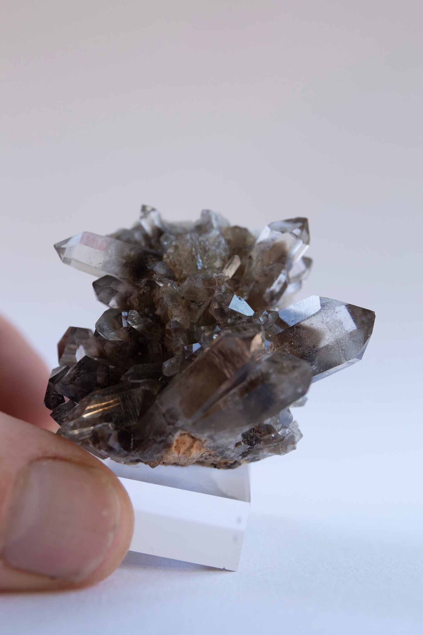Australian phantom crystal cluster