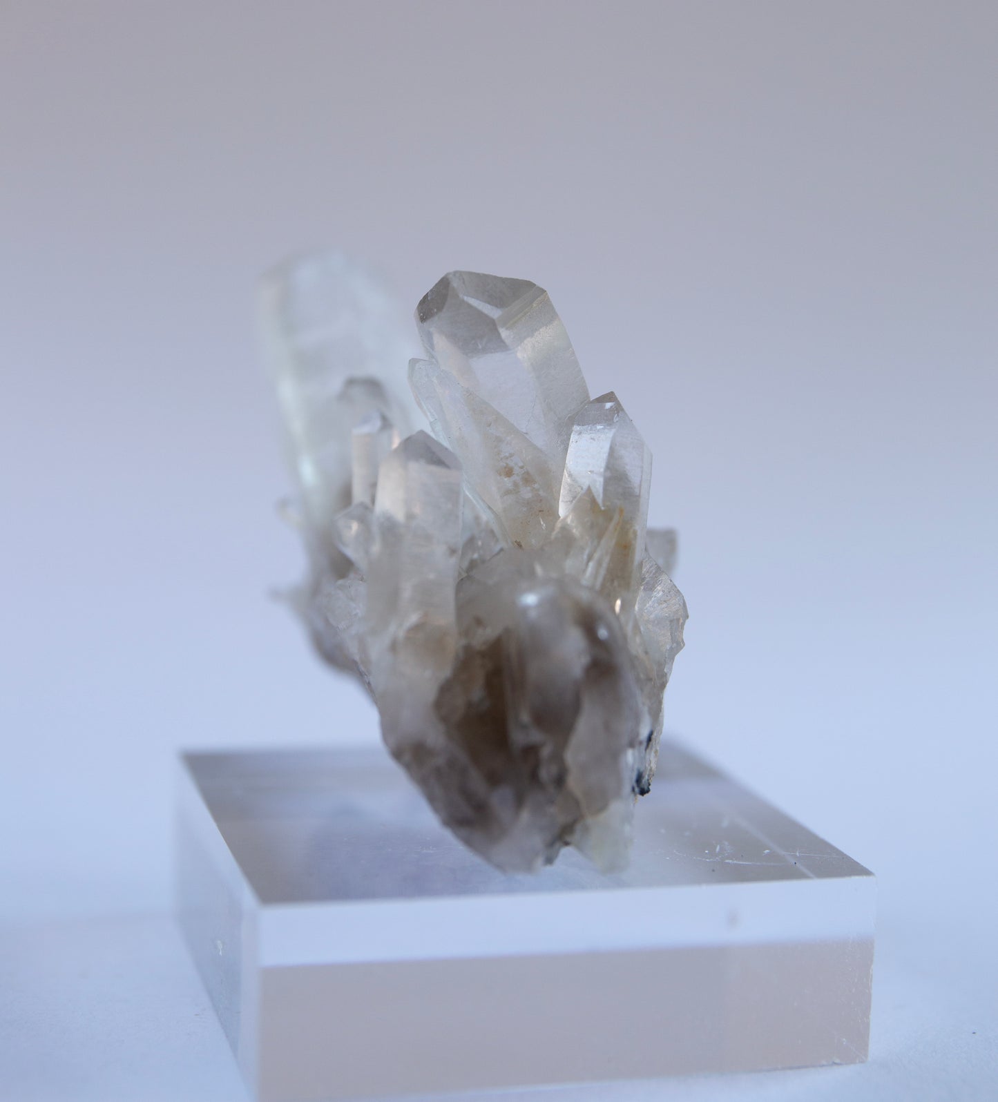 Australian phantom quartz cluster