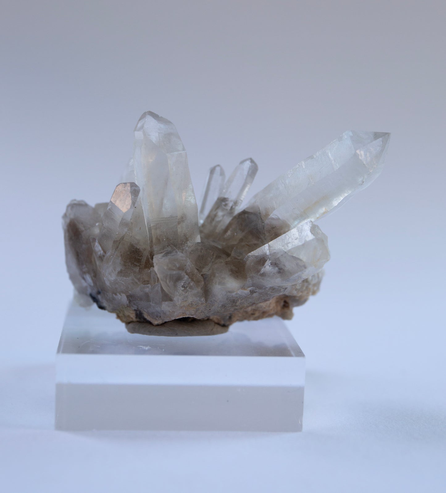 Australian phantom quartz cluster
