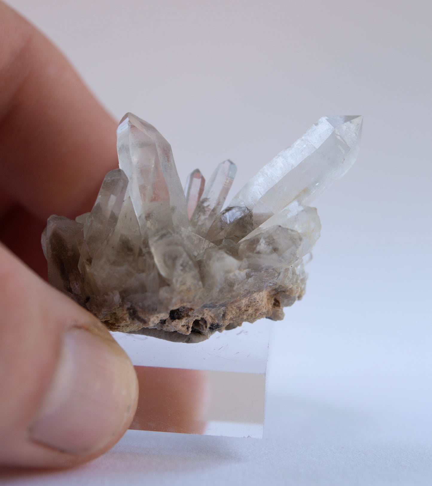 Australian phantom quartz cluster