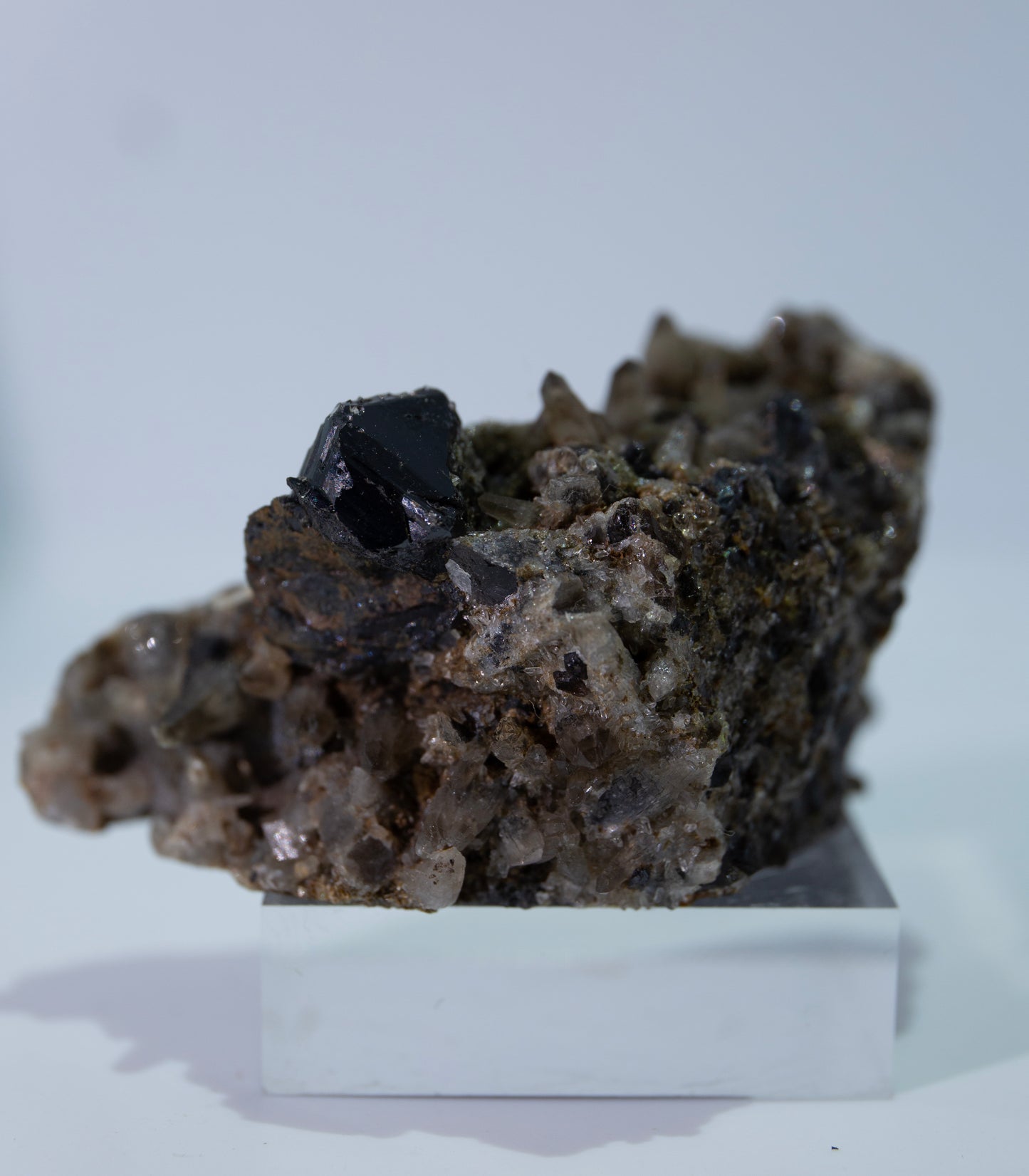 Cassiterite and smoky Quartz