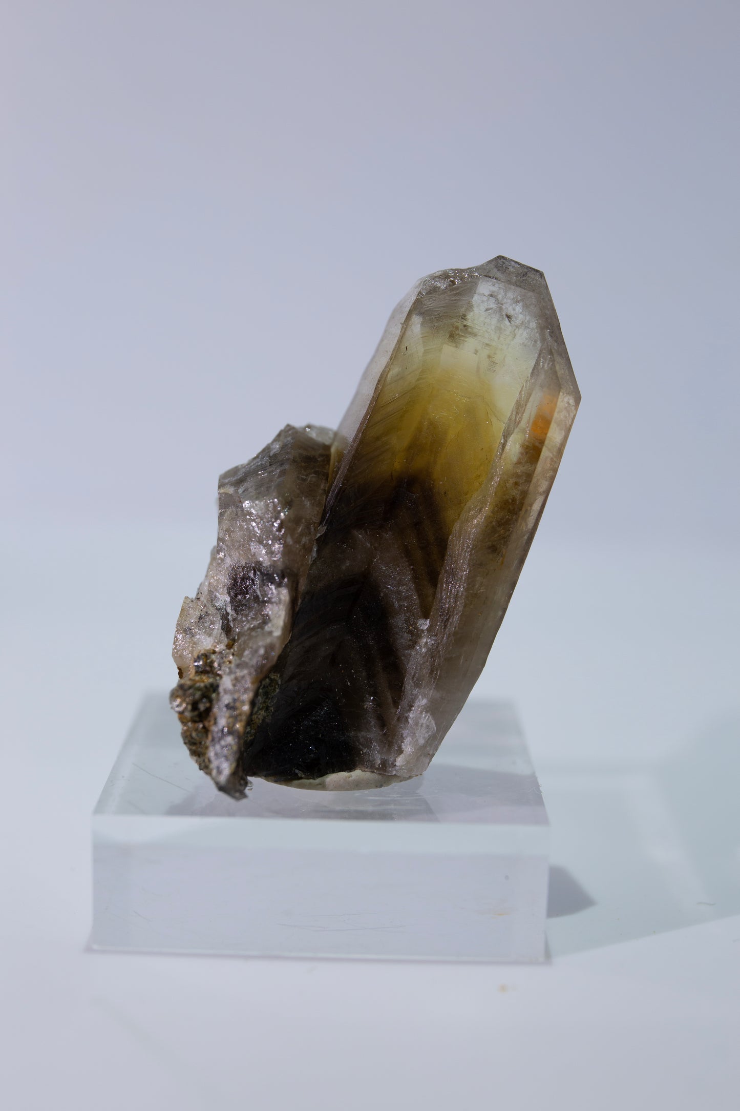 Phantom smoky citrine