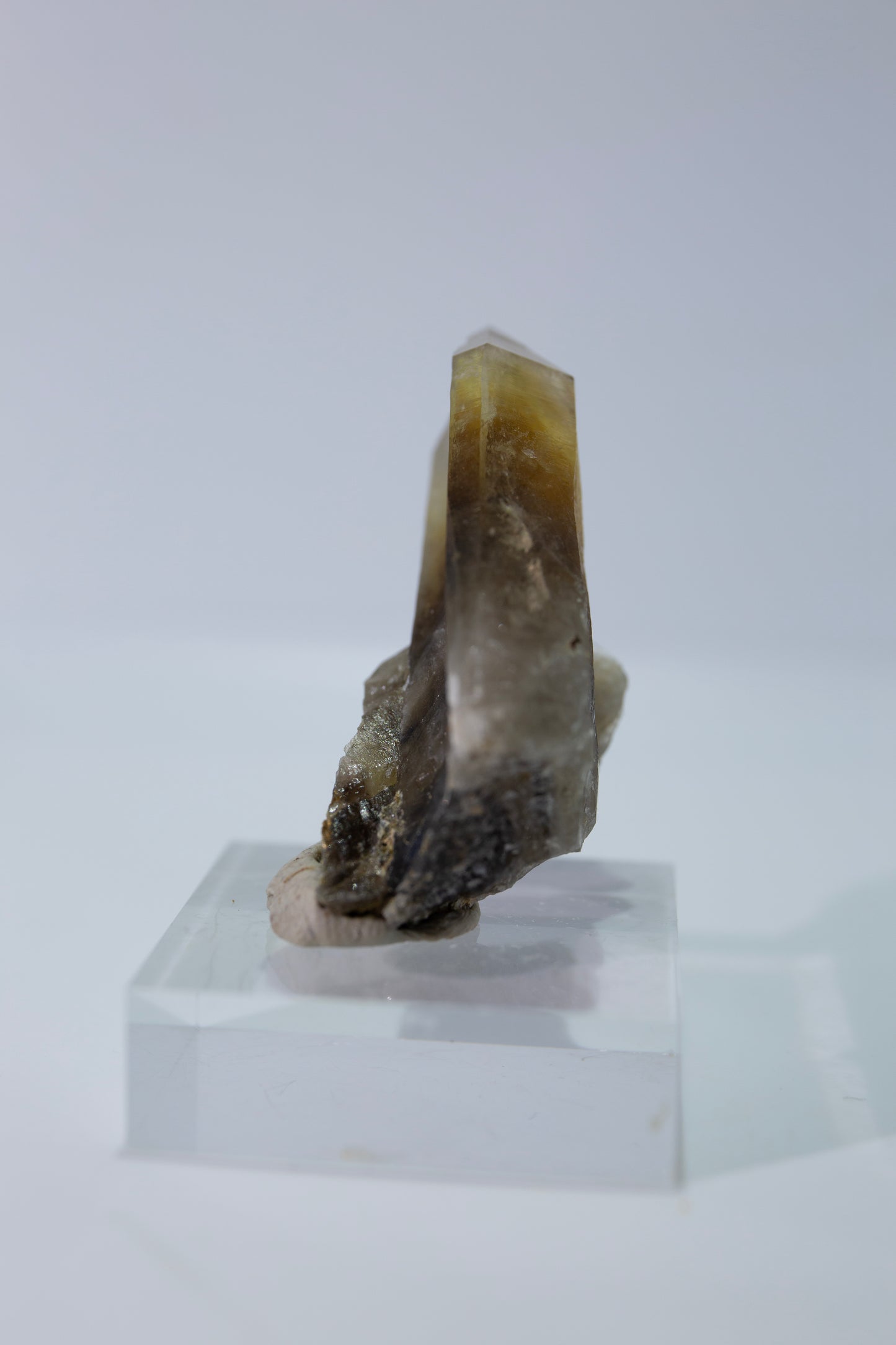 Phantom smoky citrine