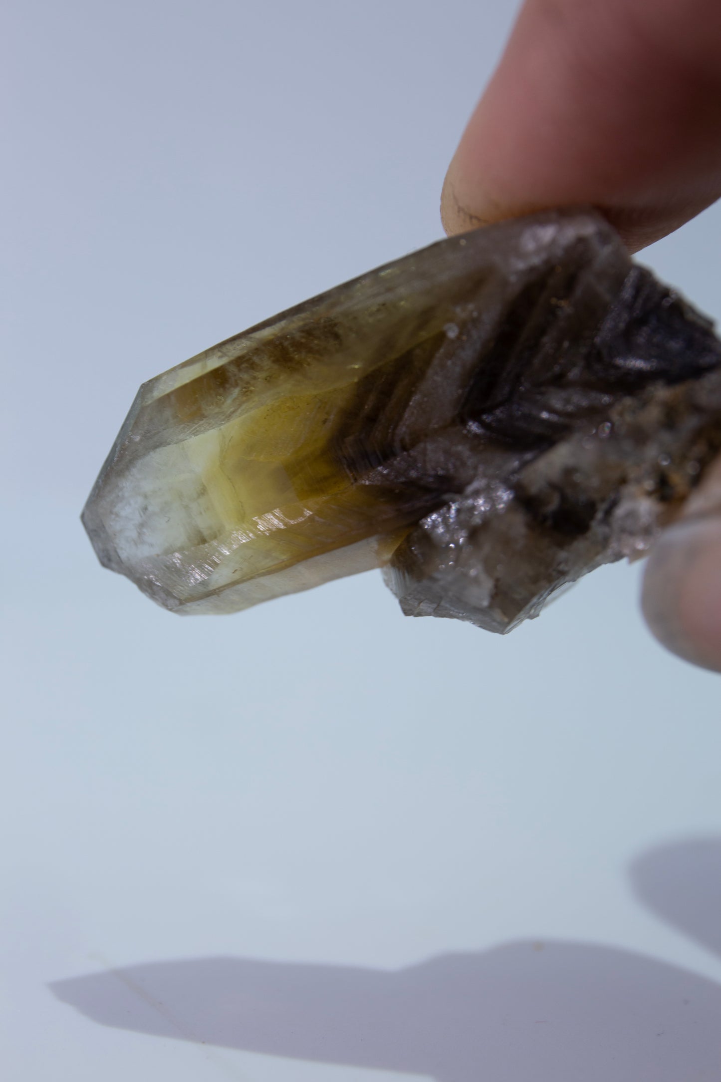 Phantom smoky citrine