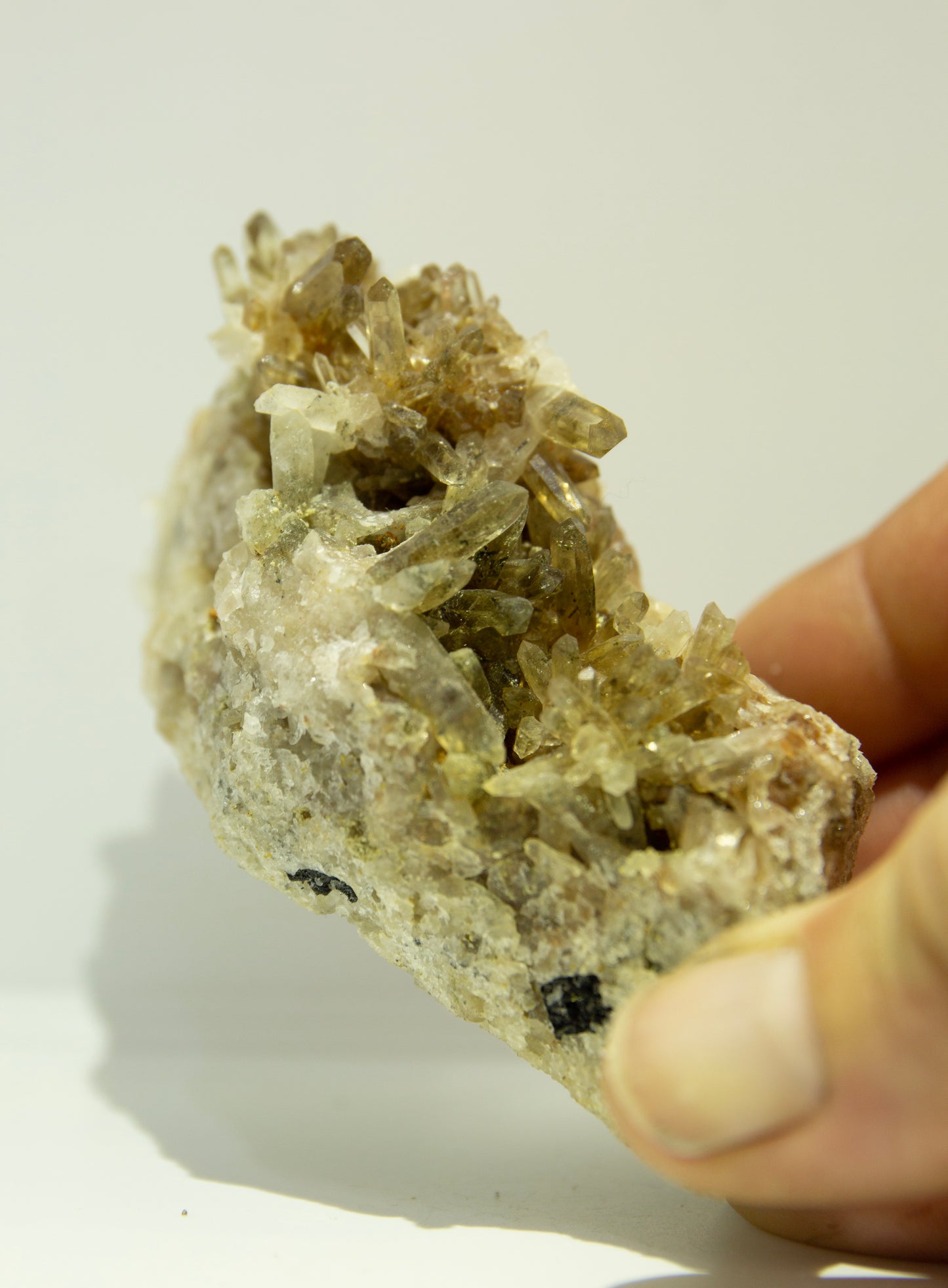 Smoky cluster on quartz silexite matrix