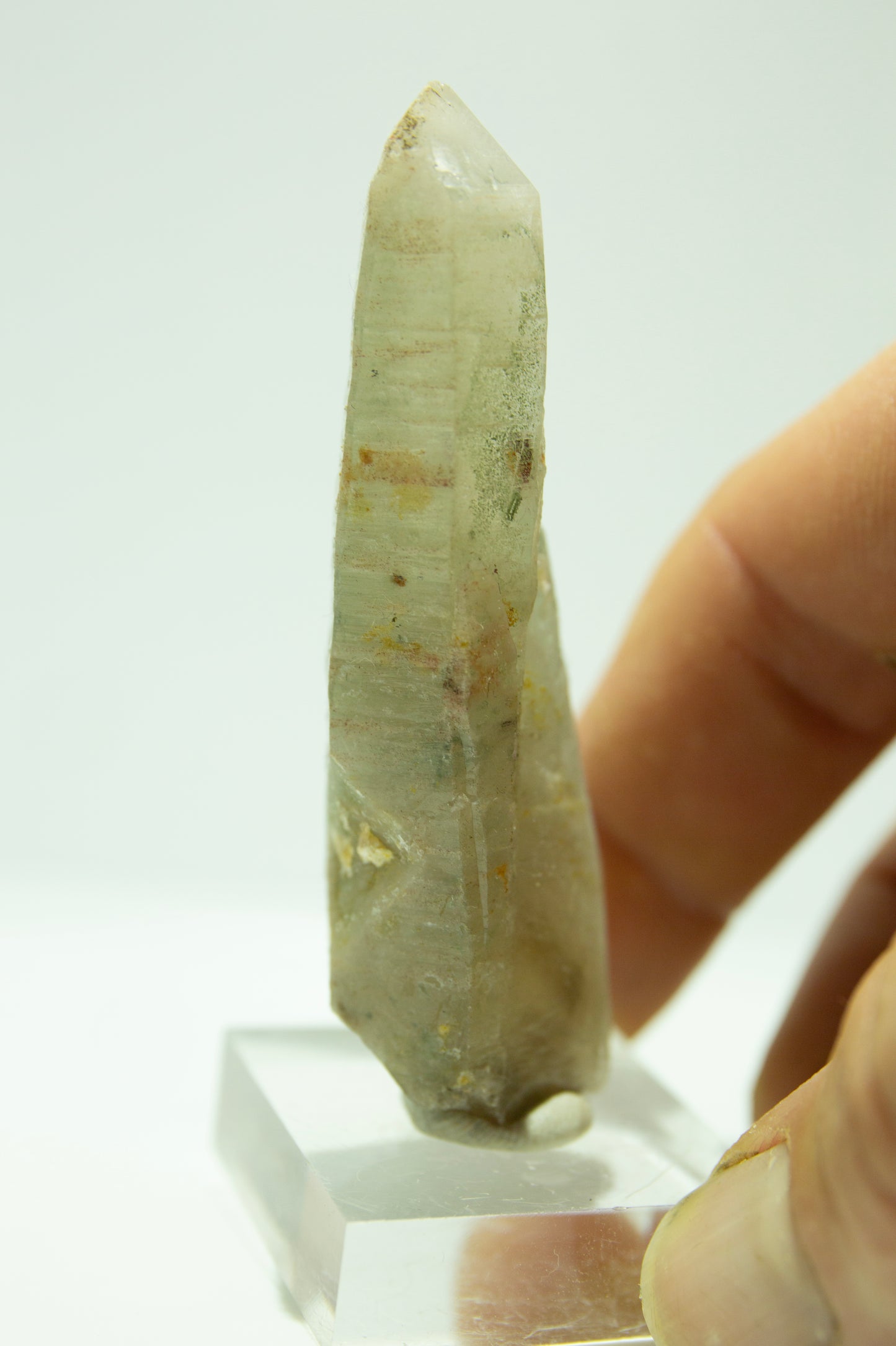 Chlorite included Quartz