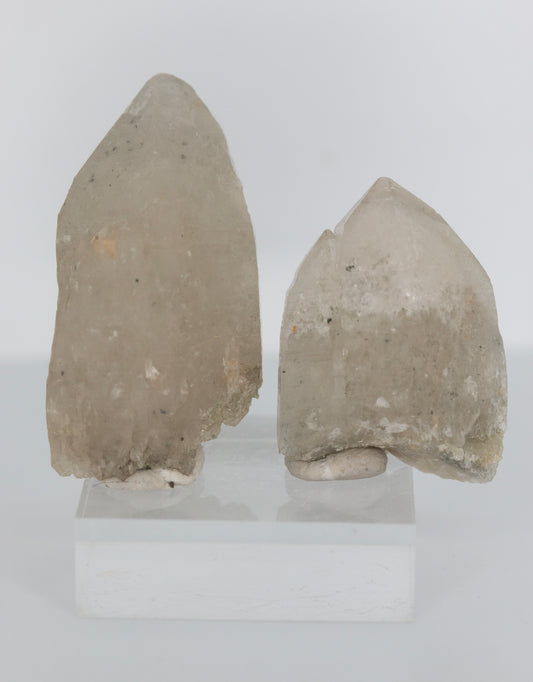 chlorite quartz pair nsw