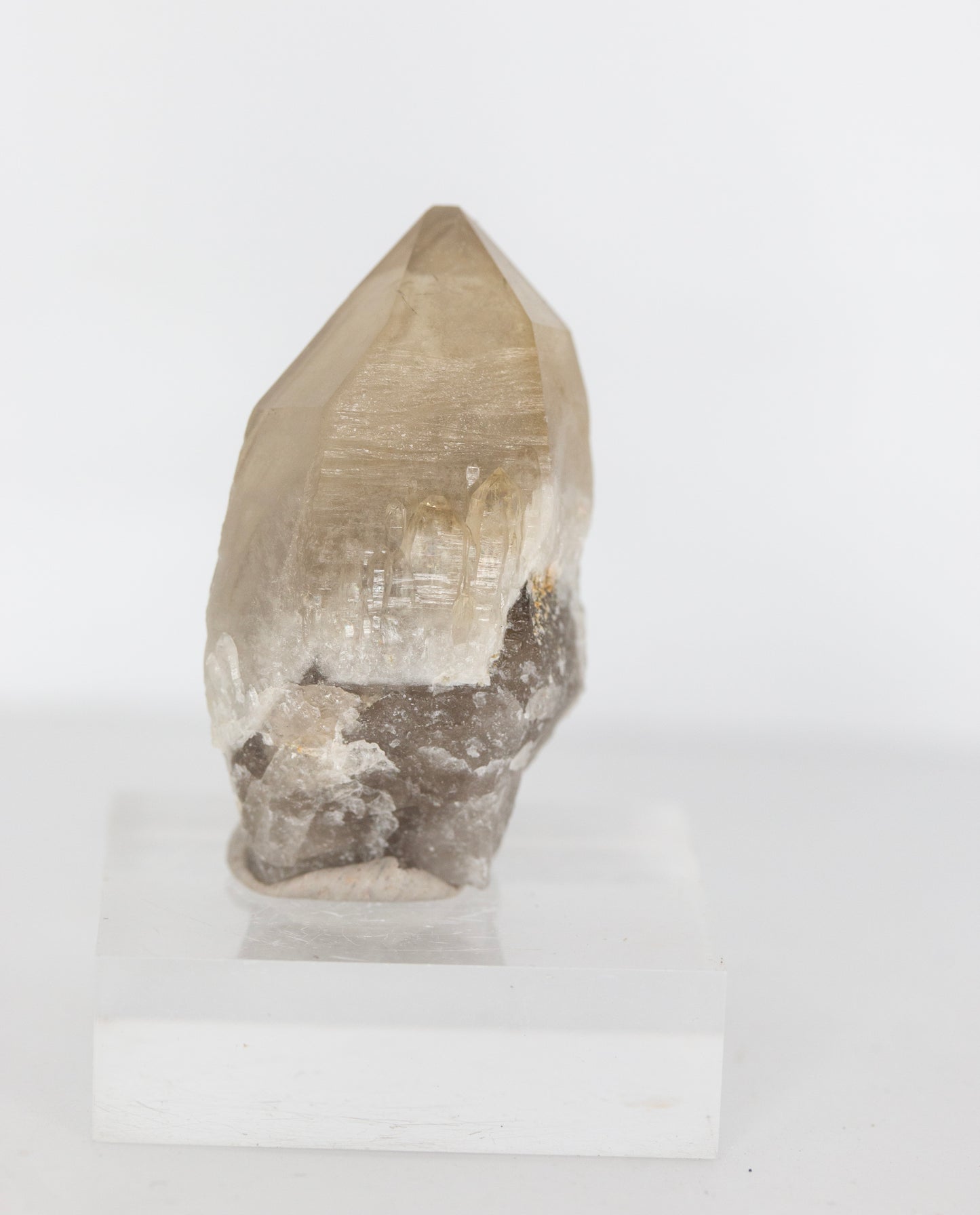 Overgrowth smoky citrine Nsw