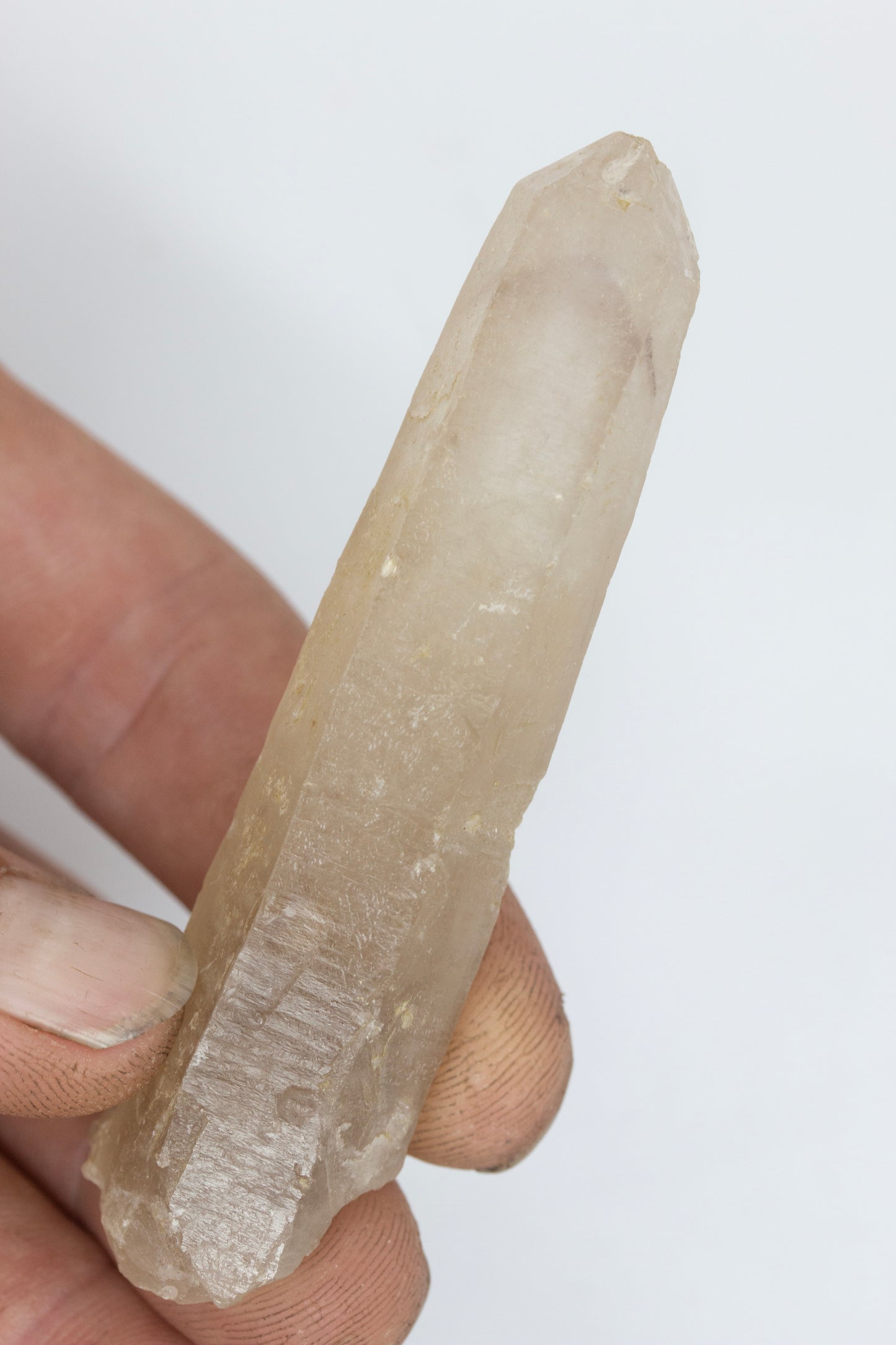 Amethyst phantom Silent grove NSW