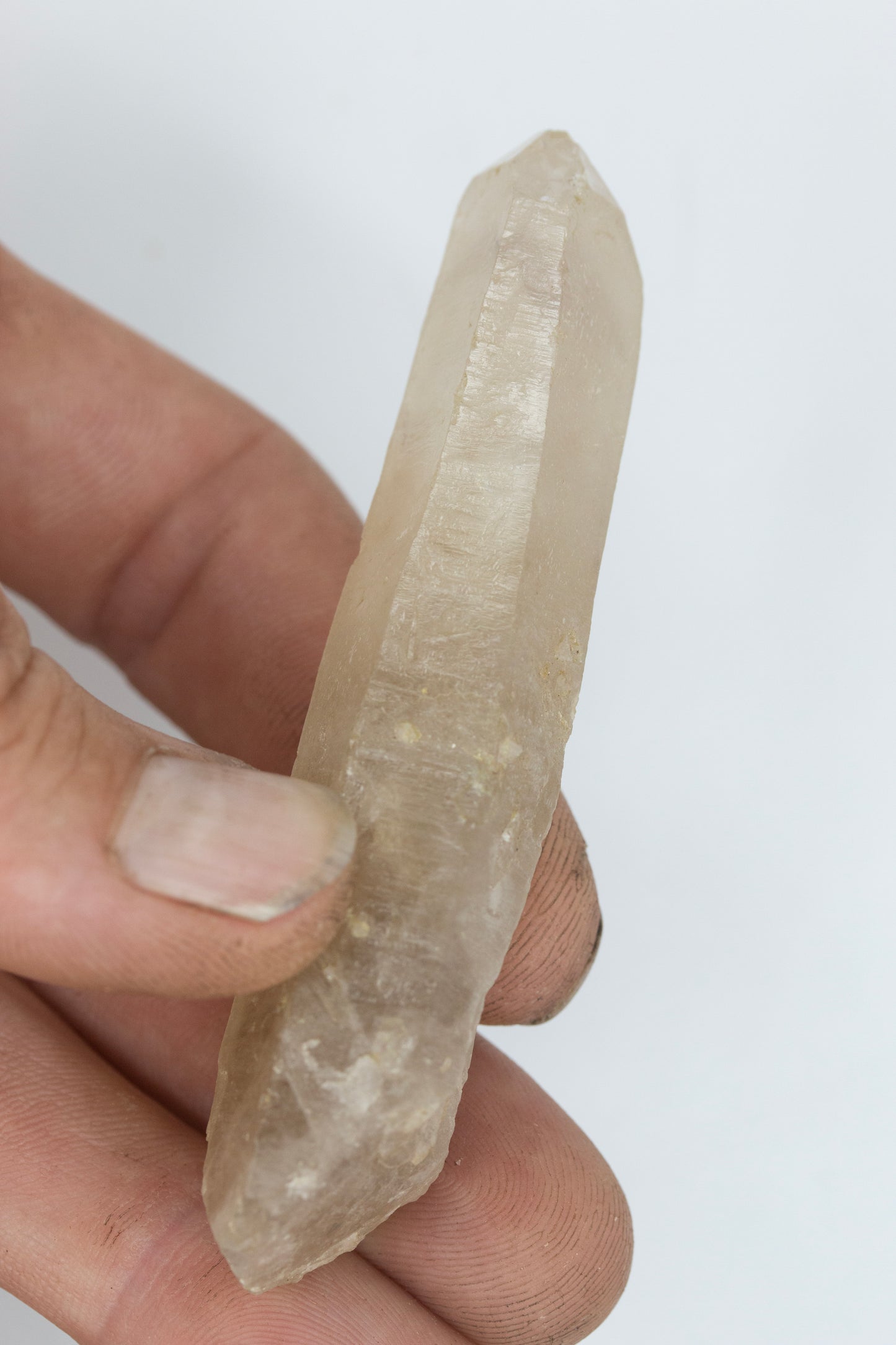 Amethyst phantom Silent grove NSW