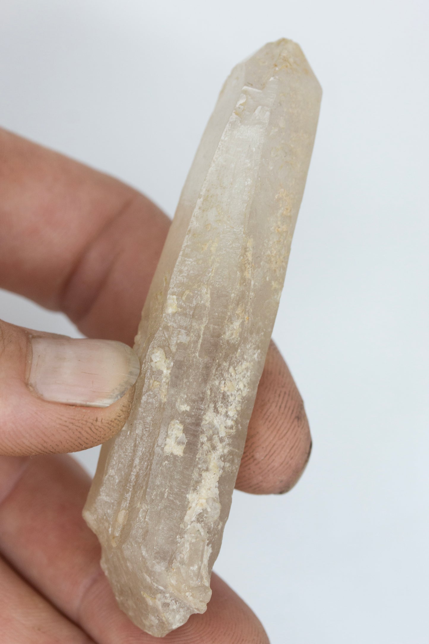 Amethyst phantom Silent grove NSW