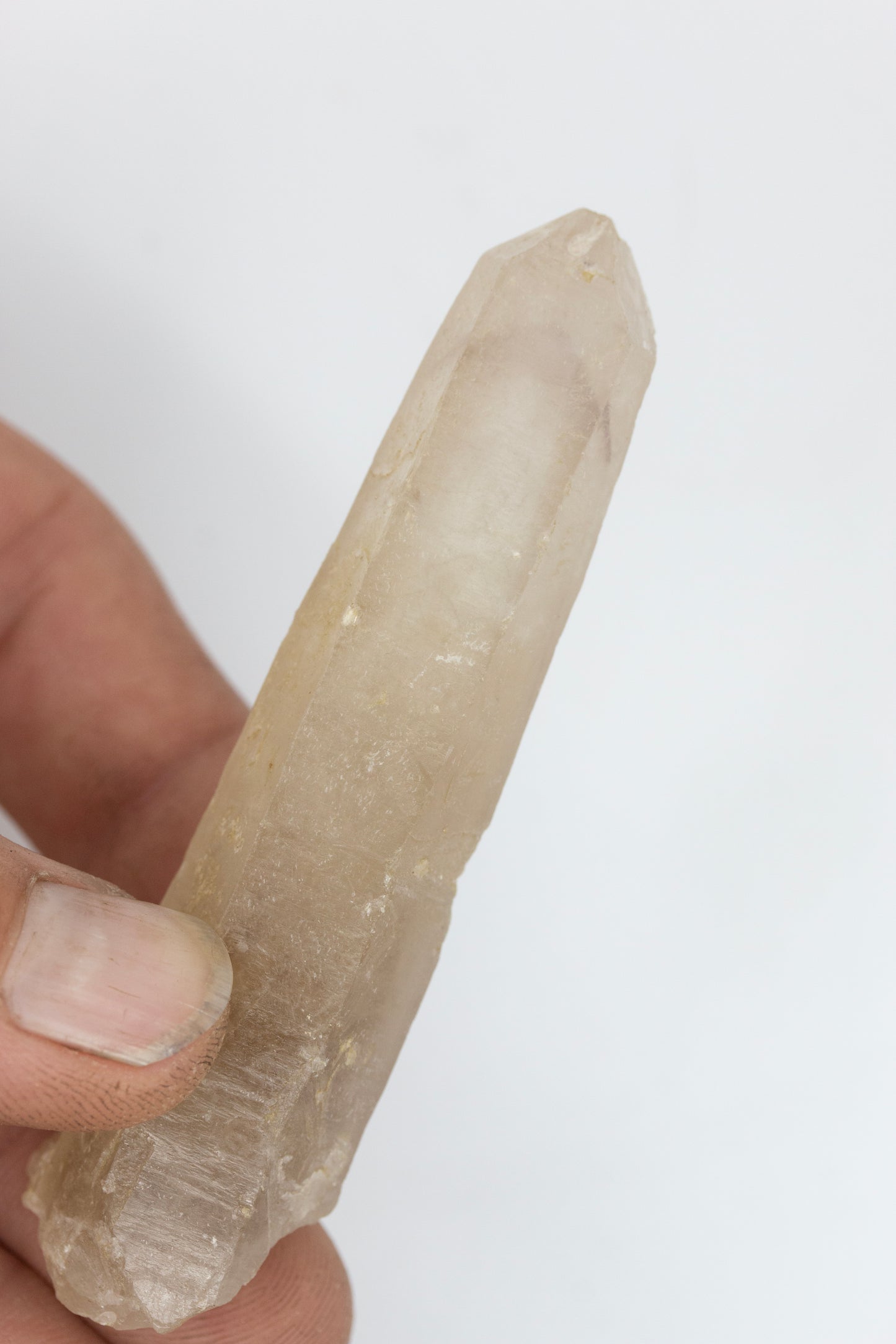 Amethyst phantom Silent grove NSW