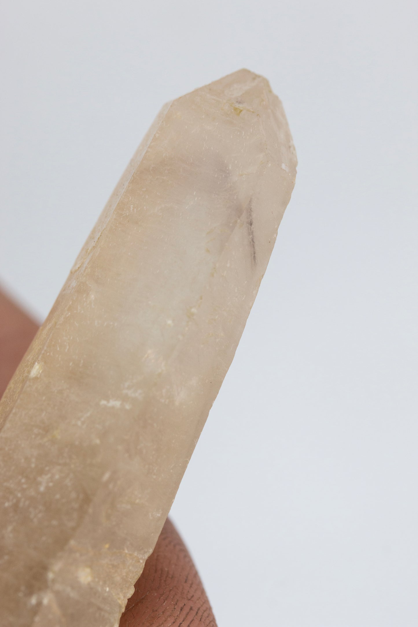 Amethyst phantom Silent grove NSW