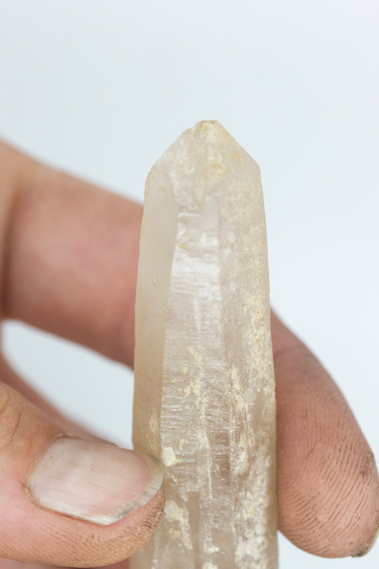 Amethyst phantom Silent grove NSW