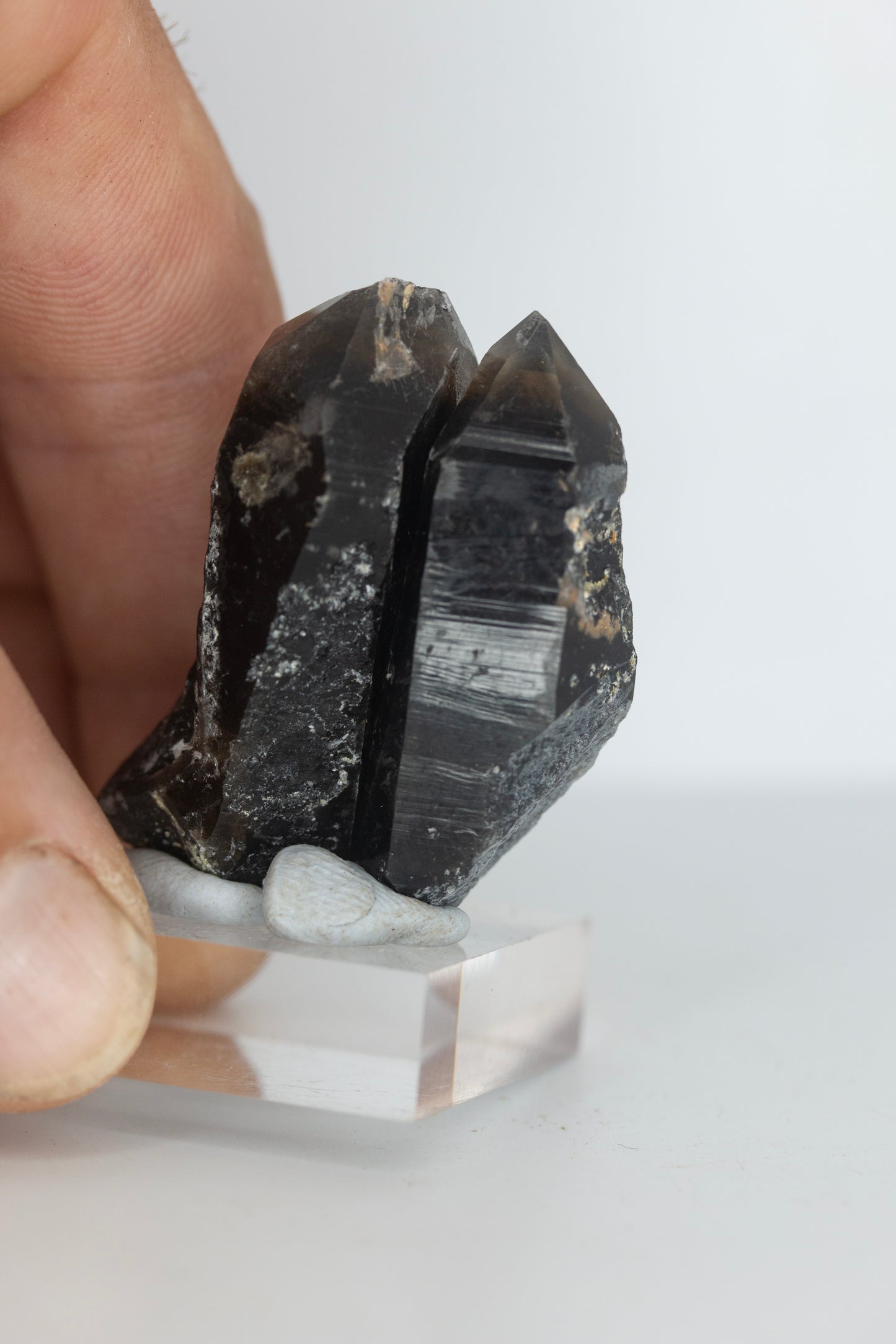 Black quartz clicker pair