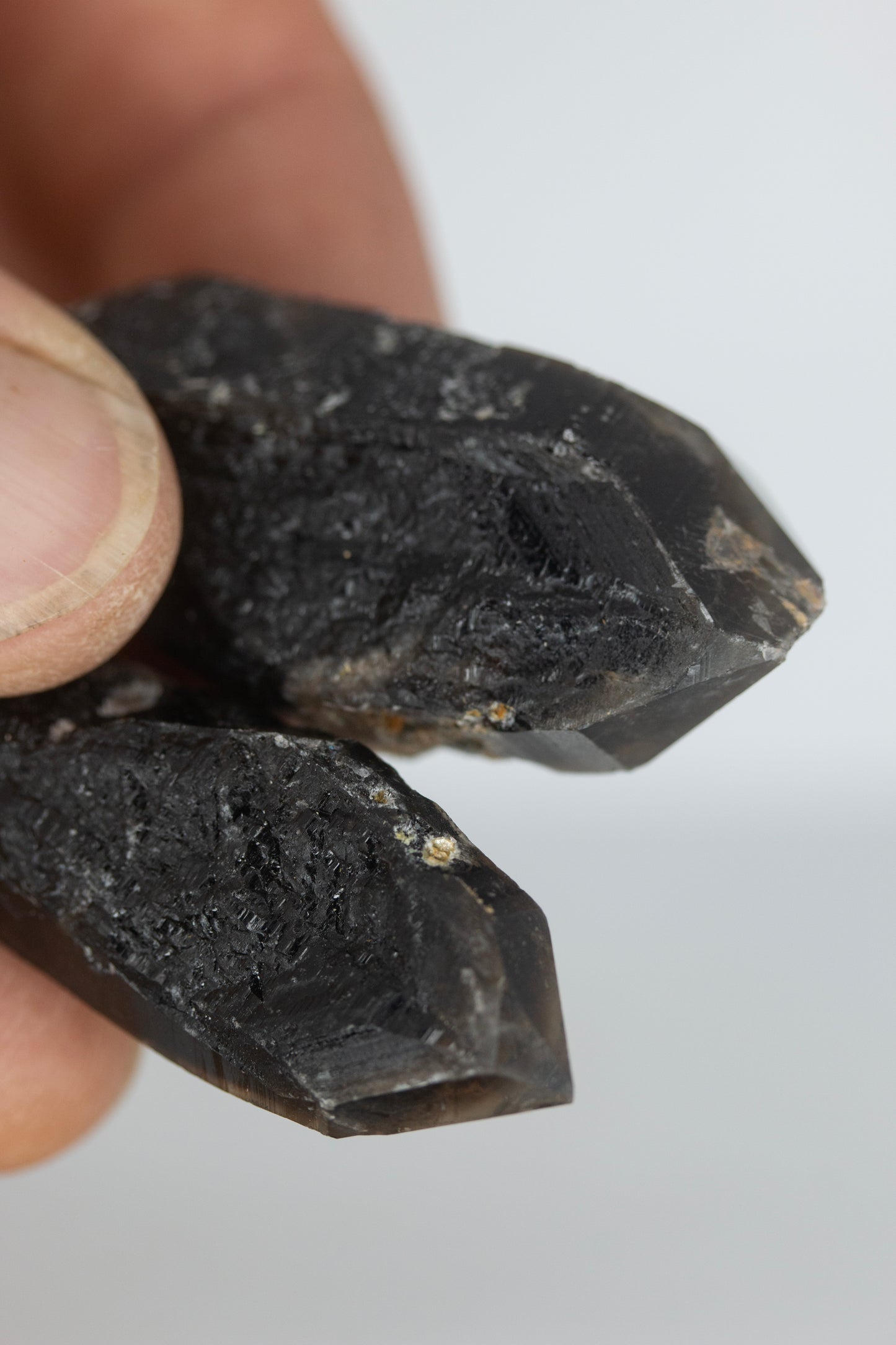 Black quartz clicker pair