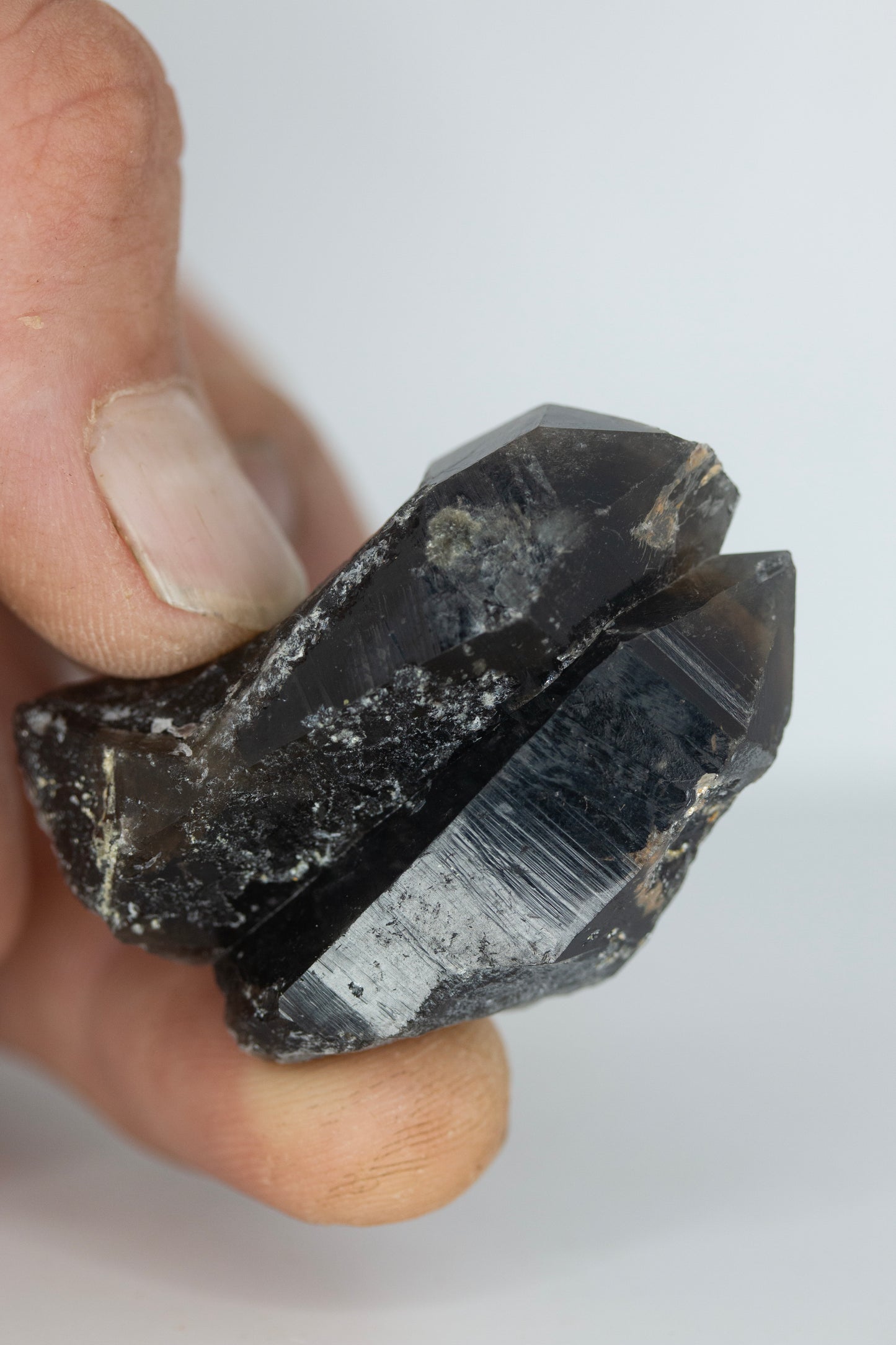 Black quartz clicker pair
