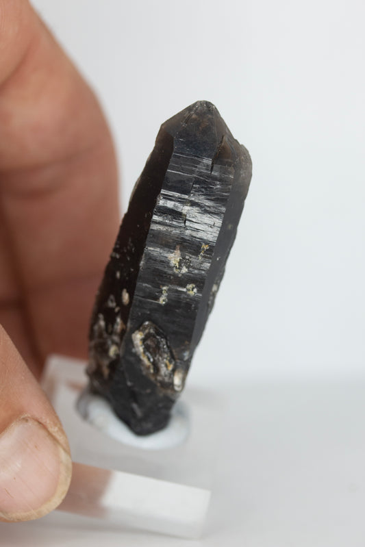 Dark smoky quartz crystal