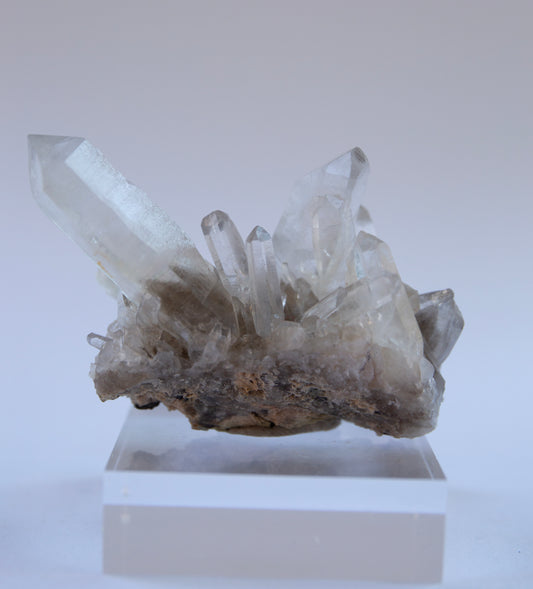 Australian phantom quartz cluster