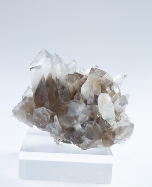 Australian phantom quartz cluster