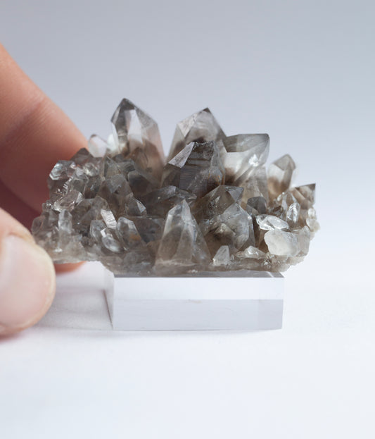 Australian phantom crystal cluster