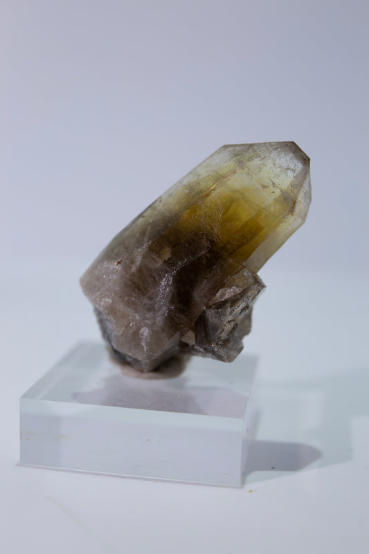 Phantom smoky citrine