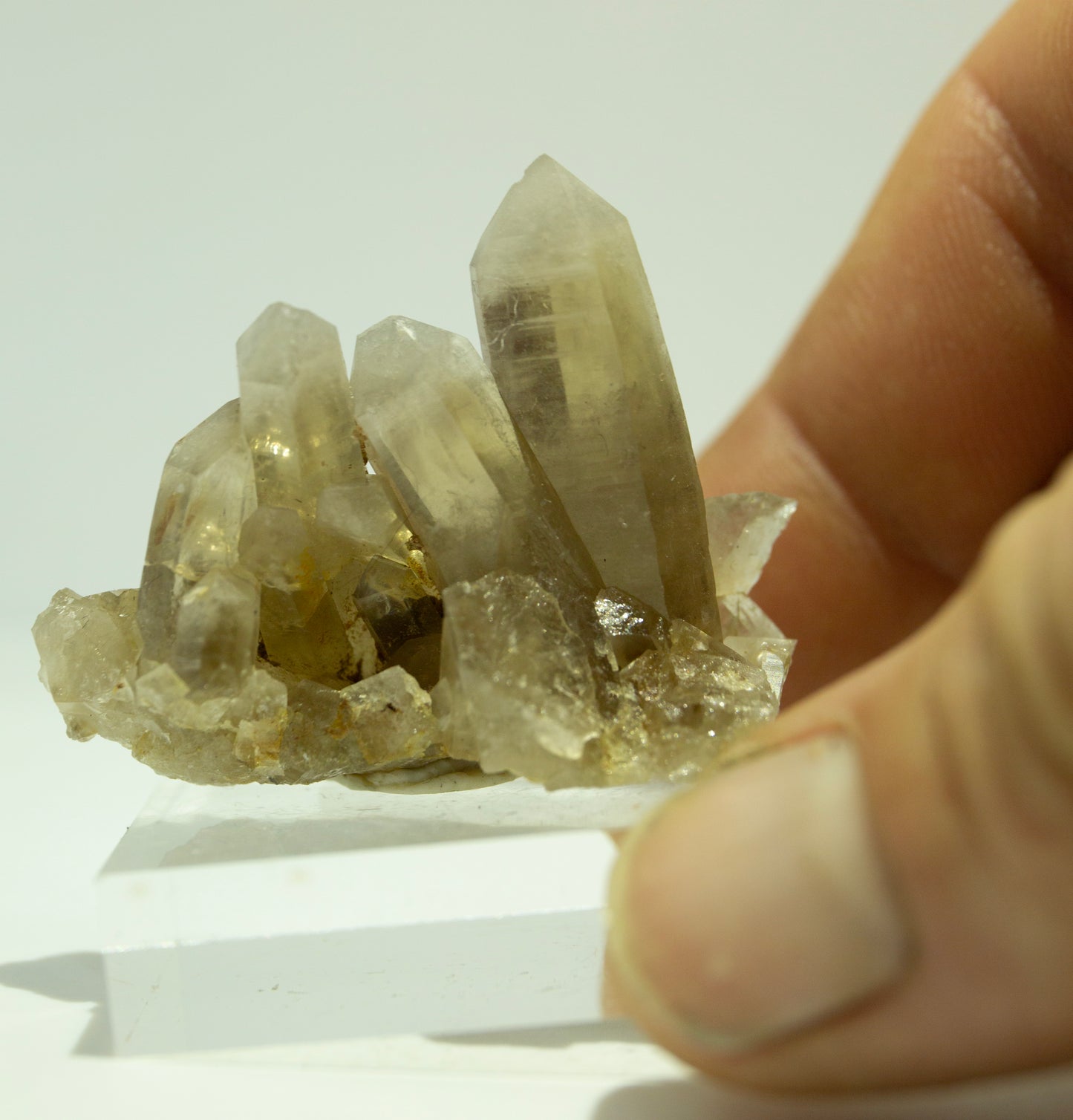 Smoky Quartz cluster NSW