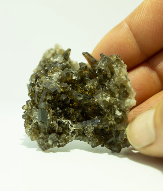 Dark smoky cluster