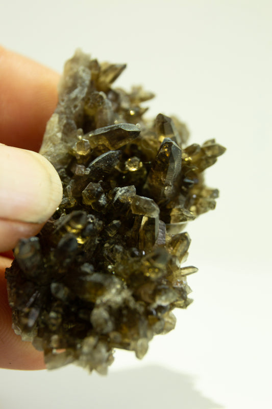 Dark smoky Quartz cluster