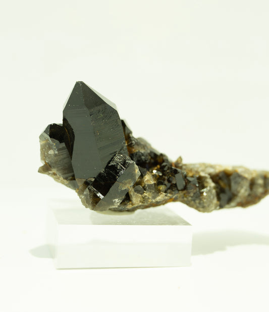 Dark mirror smoky cluster