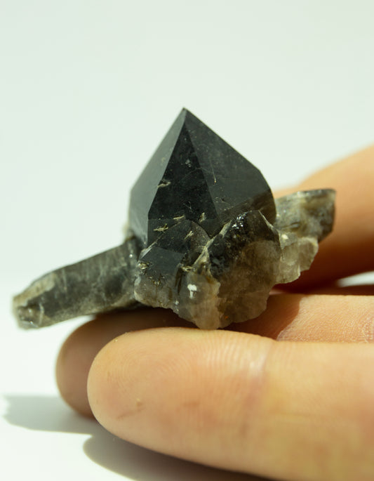 Black quartz cluster